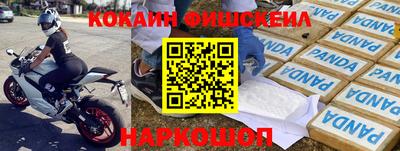 бошки Камышлов