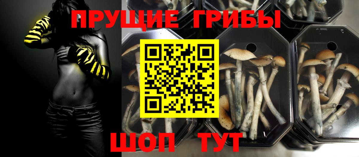 Галлюциногенные грибы Psilocybe  как найти   Галлюциногенные грибы Cubensis  Мончегорск  Вход с VPN 