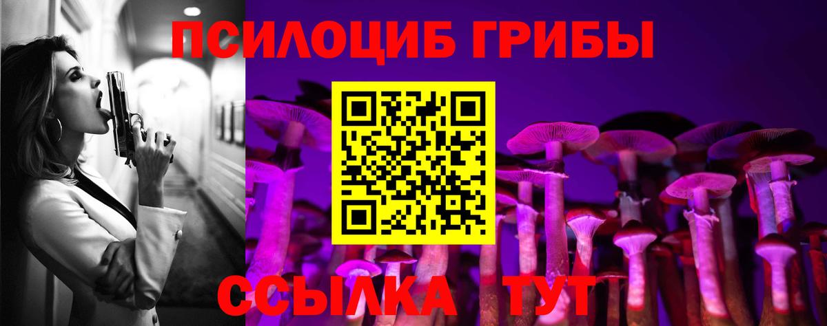 Псилоцибиновые грибы Psilocybine cubensis Мончегорск